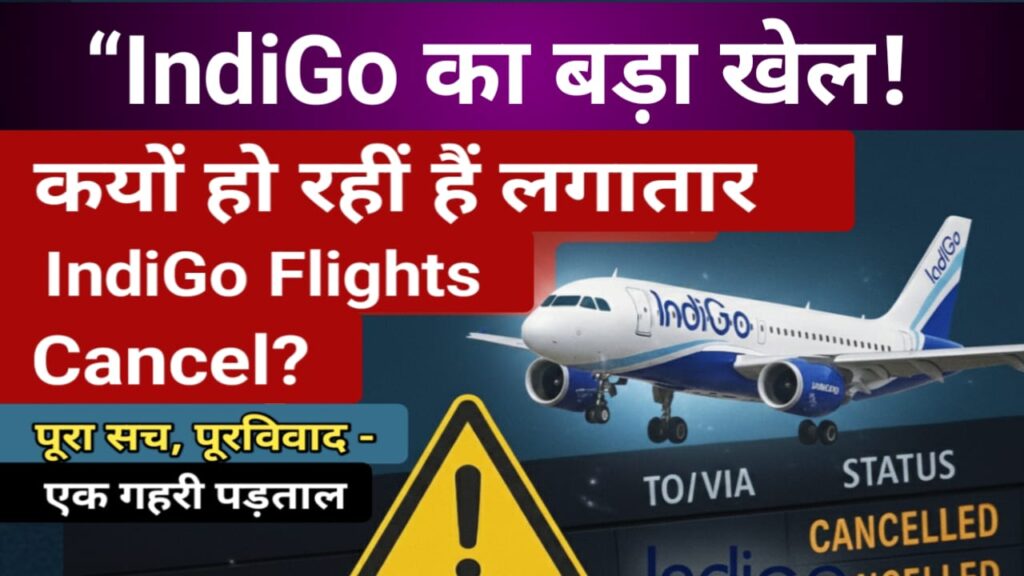 indigo flight status